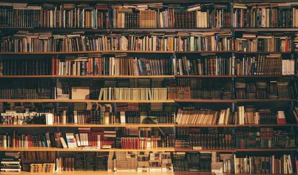 Bücher in heller und ruhiger Umgebung mit entspannter Atmosphäre